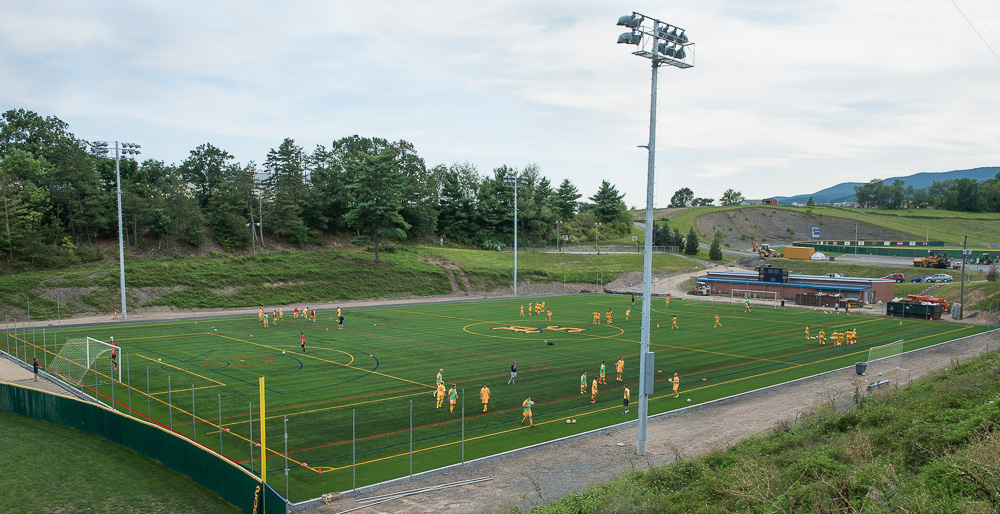 Stayman Field 