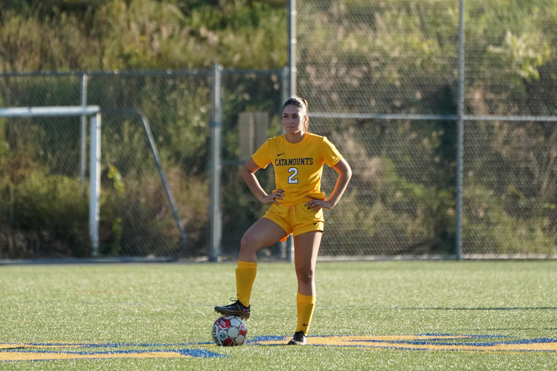 Wheatley Nets Goal, Courtney Tallies Eight Saves in Carroll Defeat